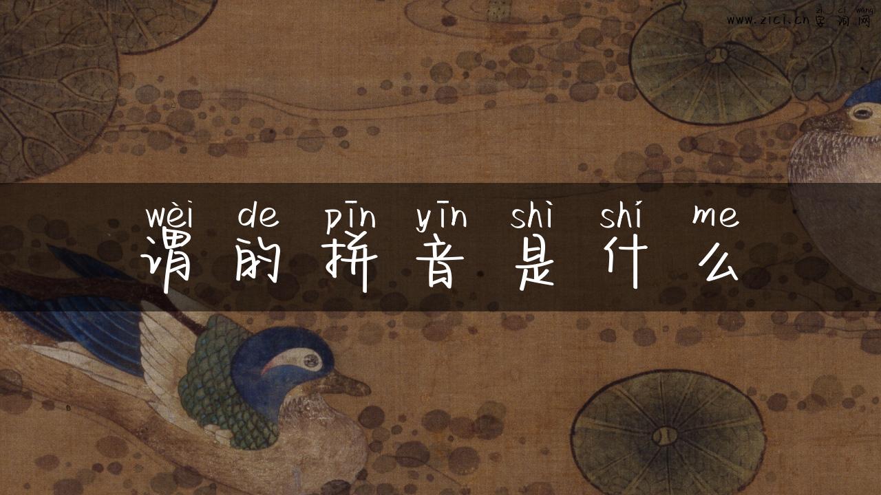 谓的拼音是什么