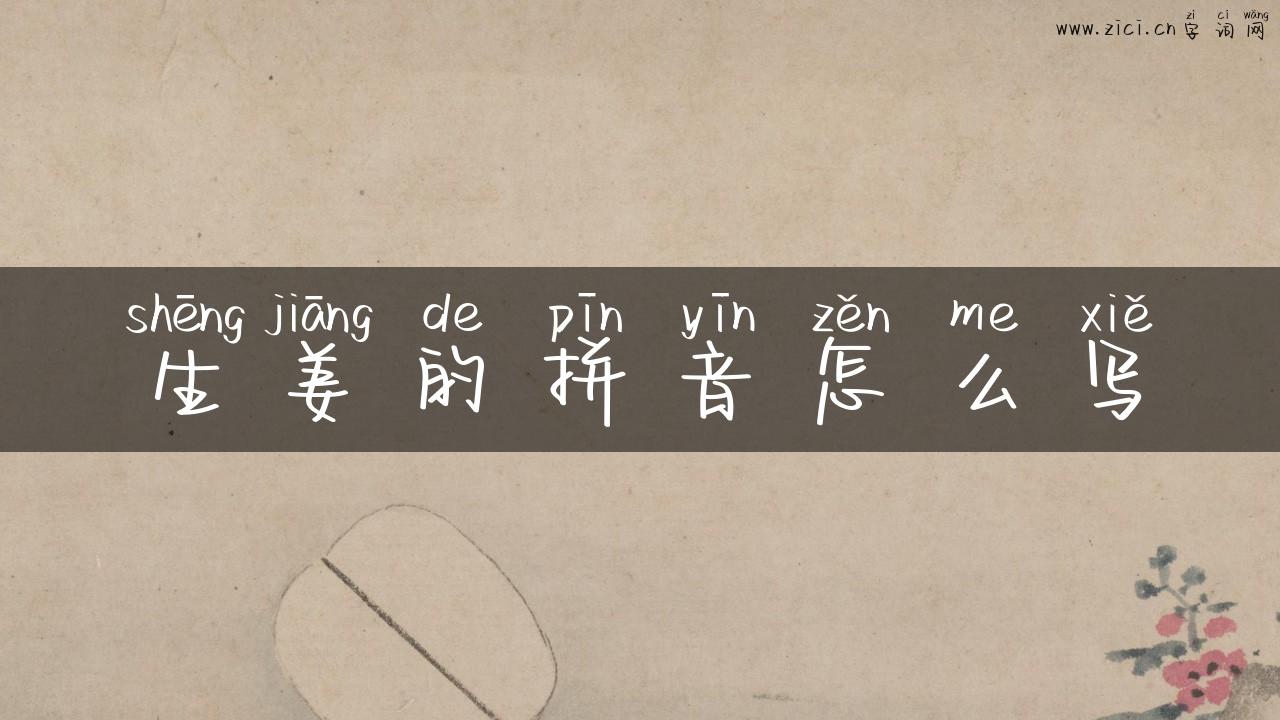 生姜的拼音怎么写