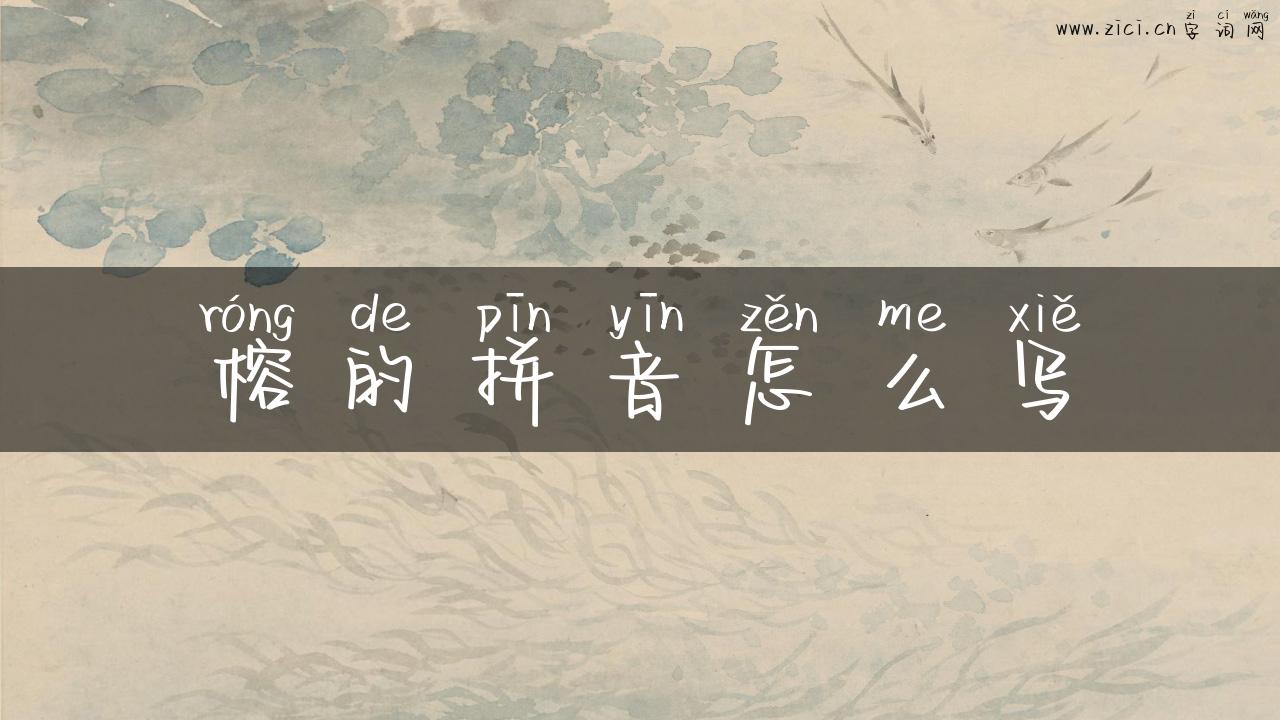 榕的拼音怎么写
