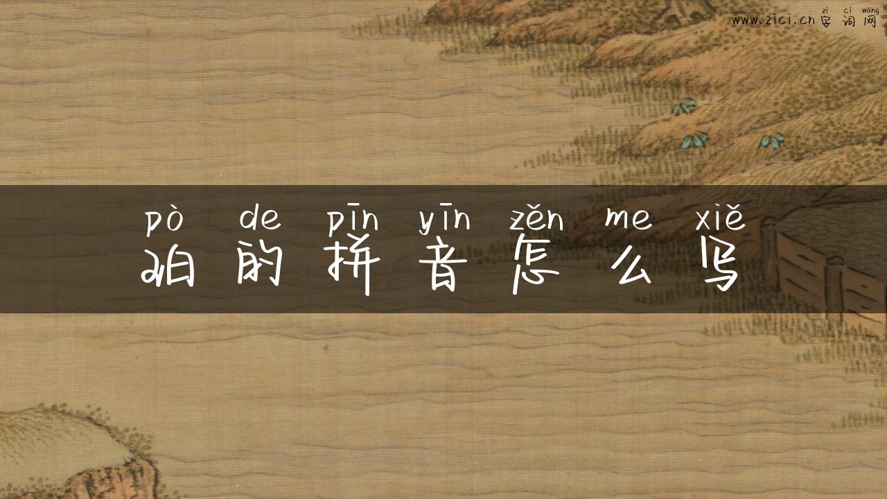珀的拼音怎么写