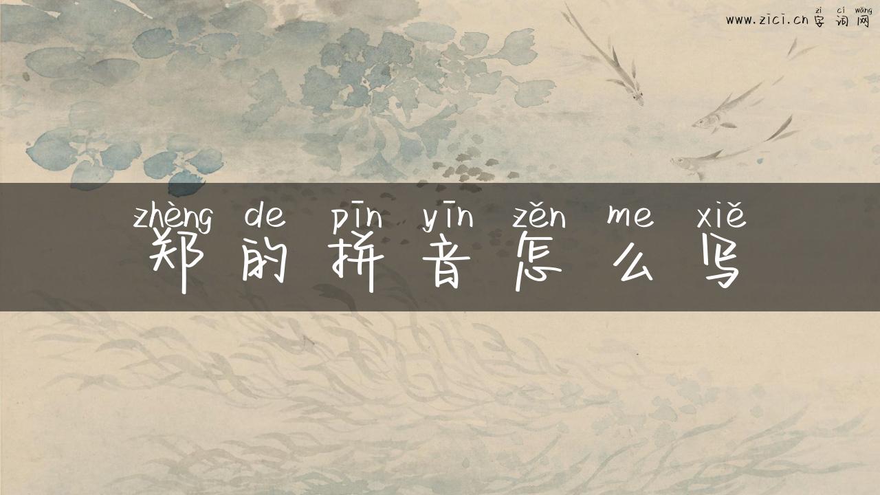 郑的拼音怎么写