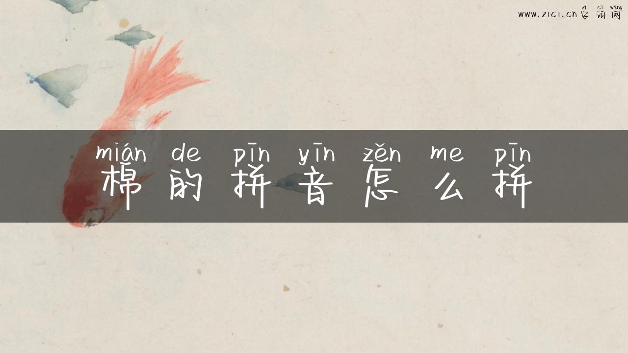 棉的拼音怎么拼