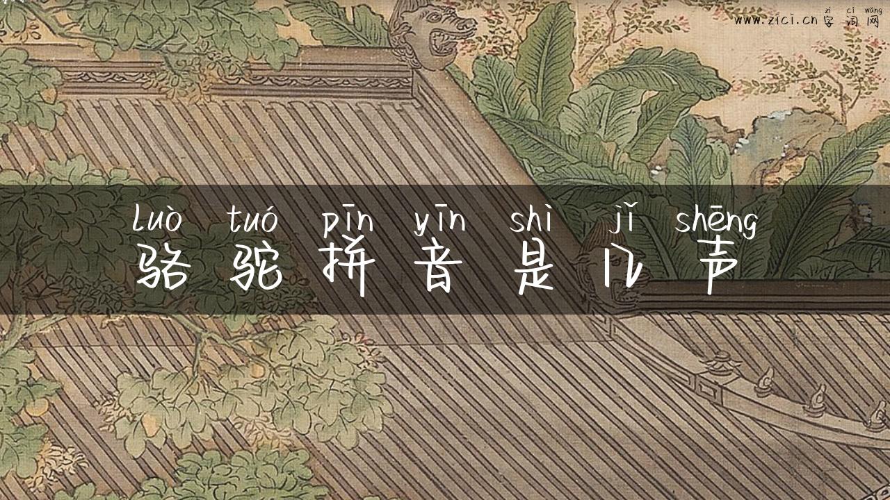 骆驼拼音是几声