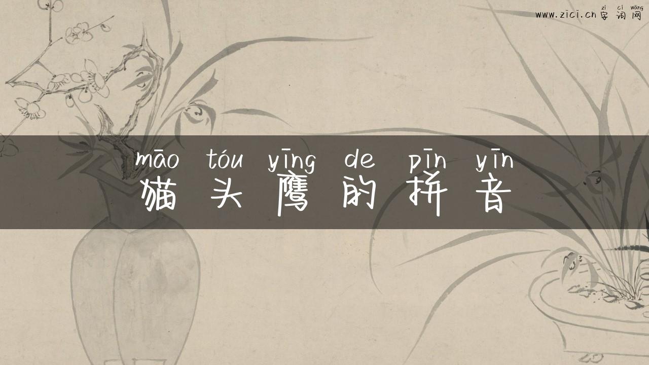 猫头鹰的拼音