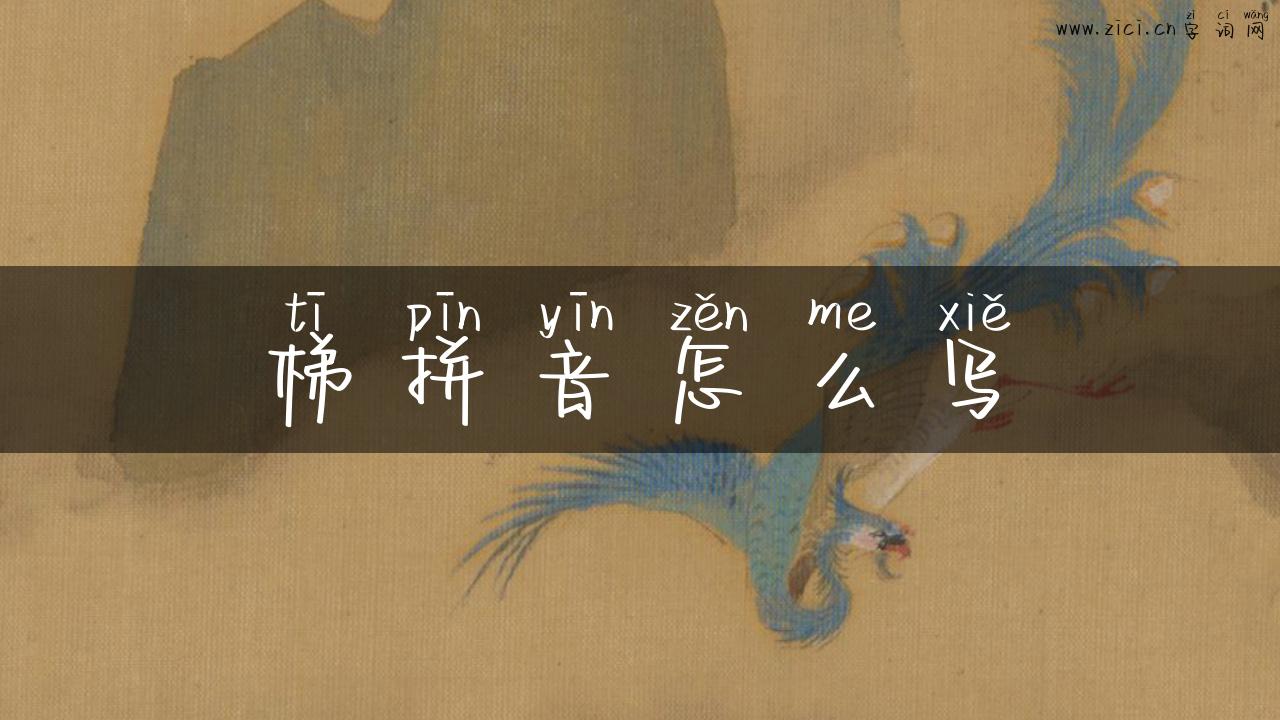 梯拼音怎么写