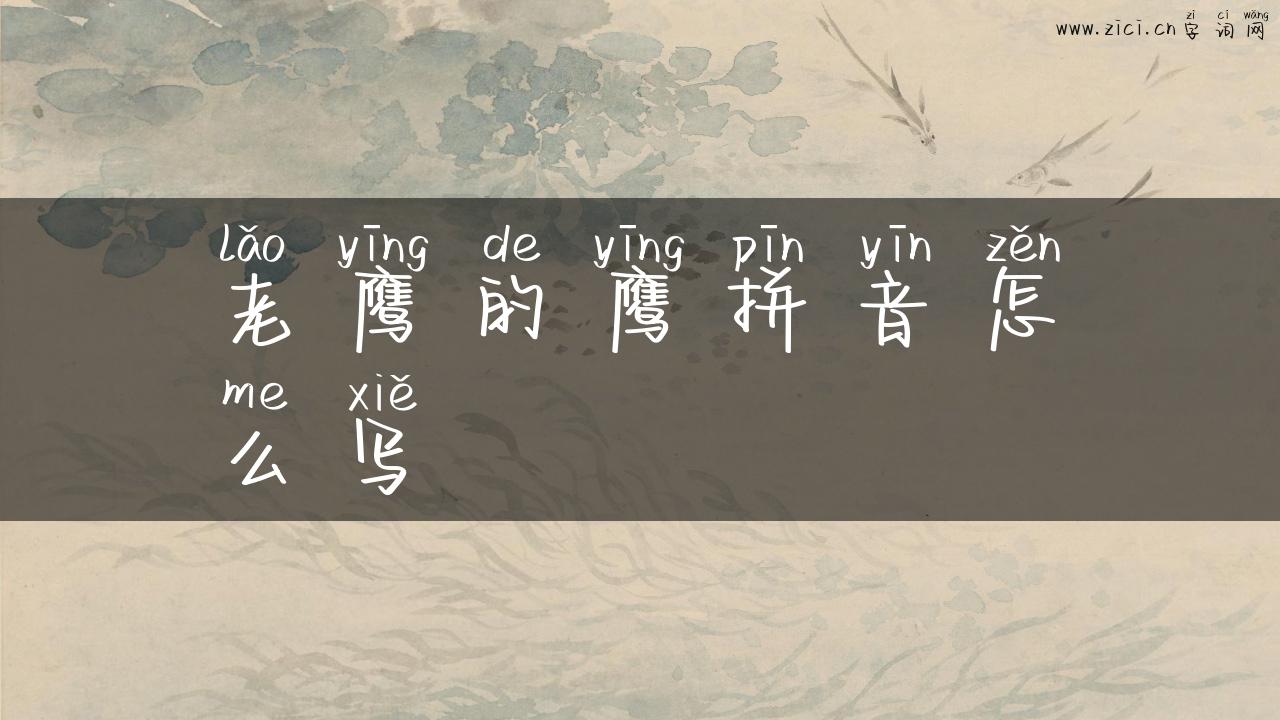 老鹰的鹰拼音怎么写