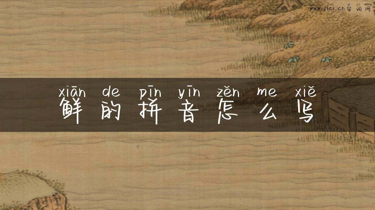 鲜的拼音怎么写