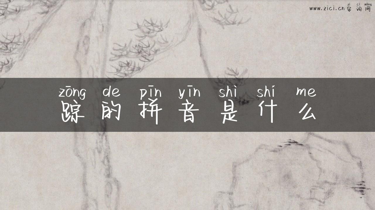 踪的拼音是什么