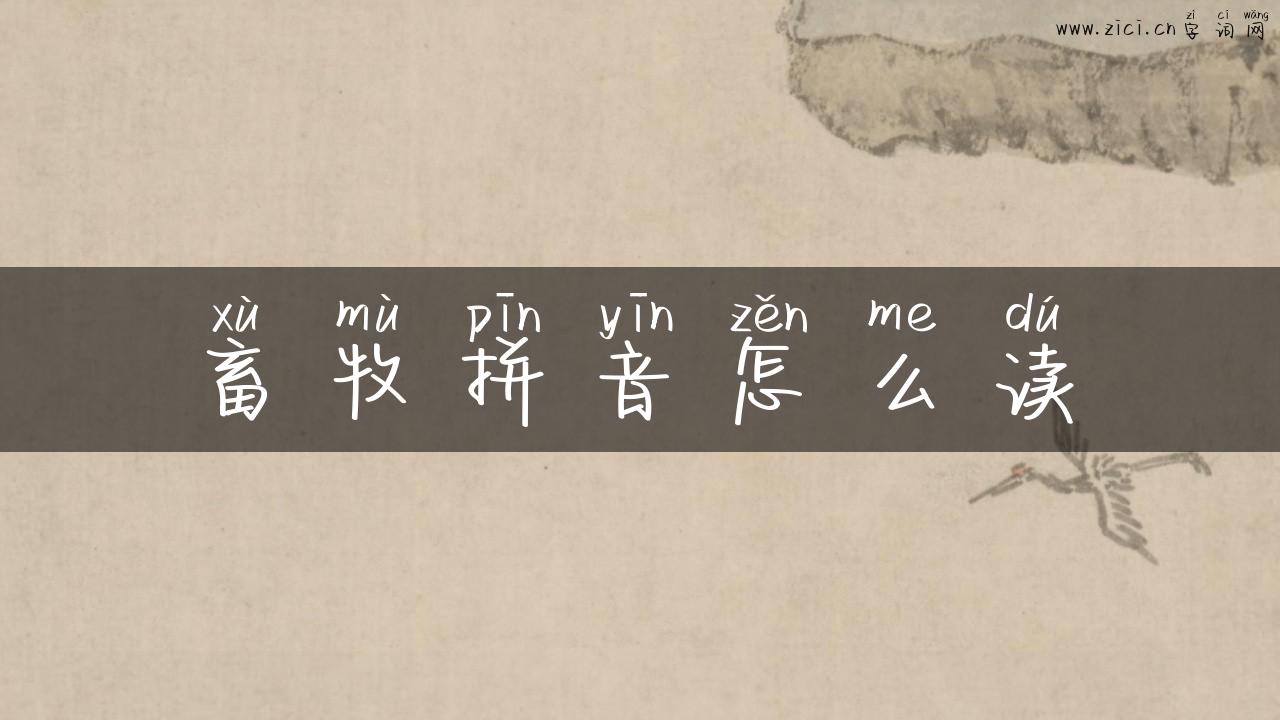 畜牧拼音怎么读