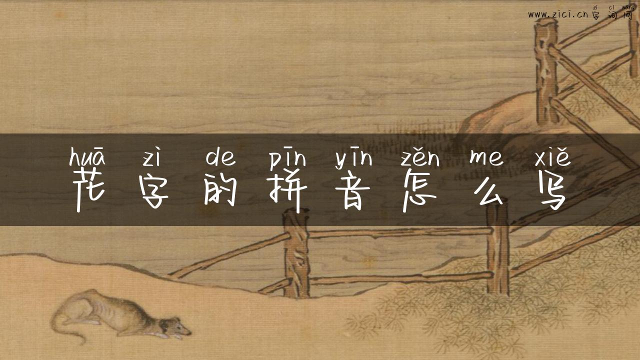 花字的拼音怎么写