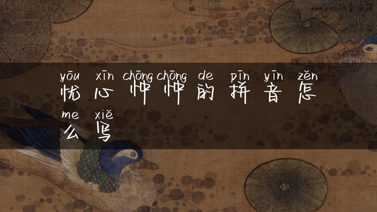 忧心忡忡的拼音怎么写
