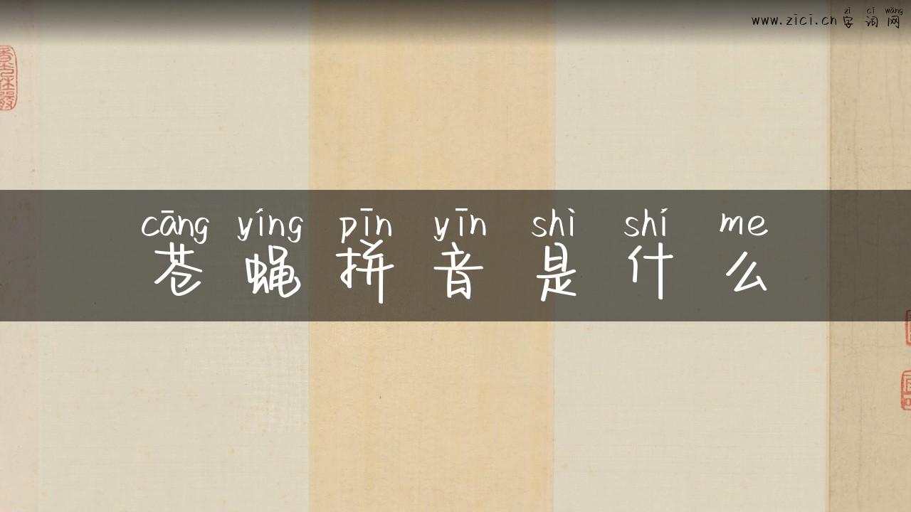 苍蝇拼音是什么