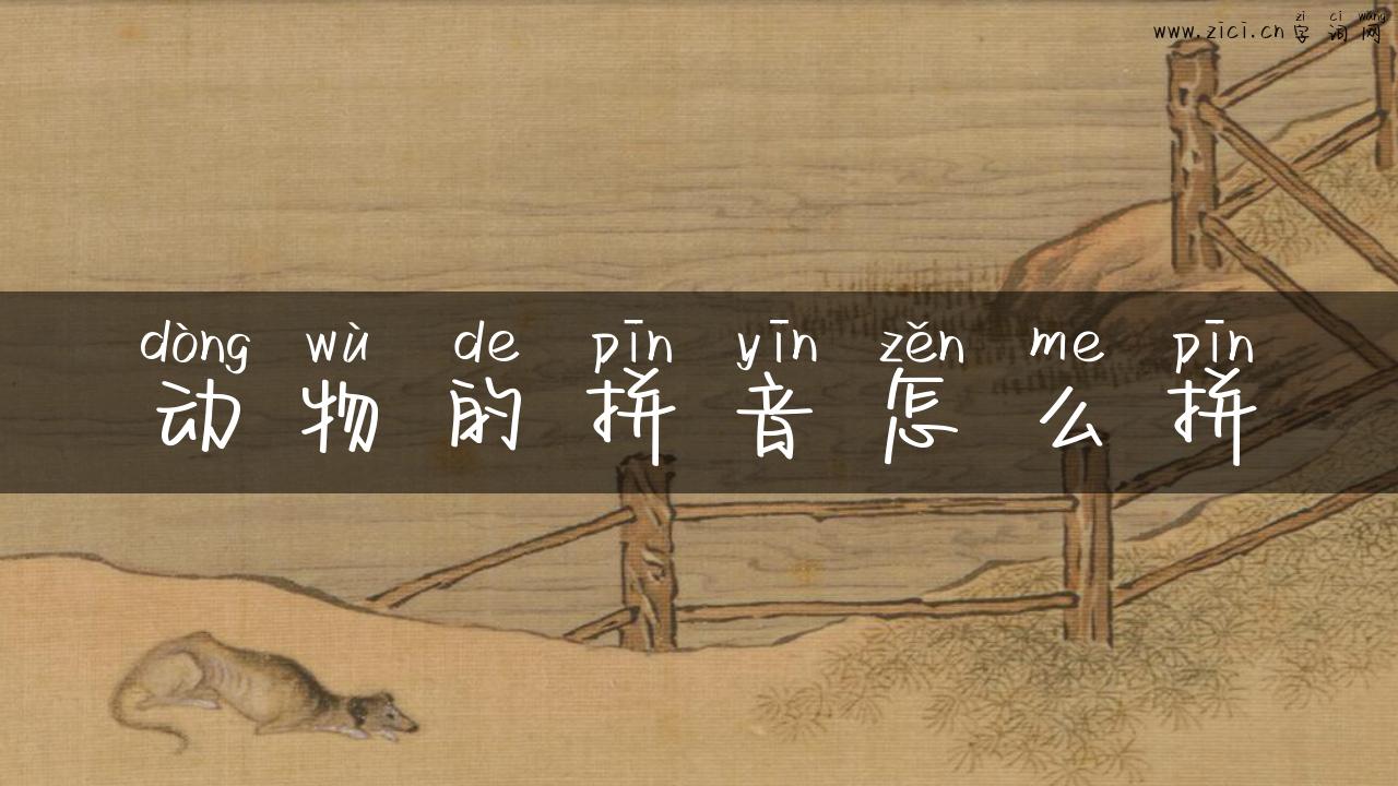动物的拼音怎么拼