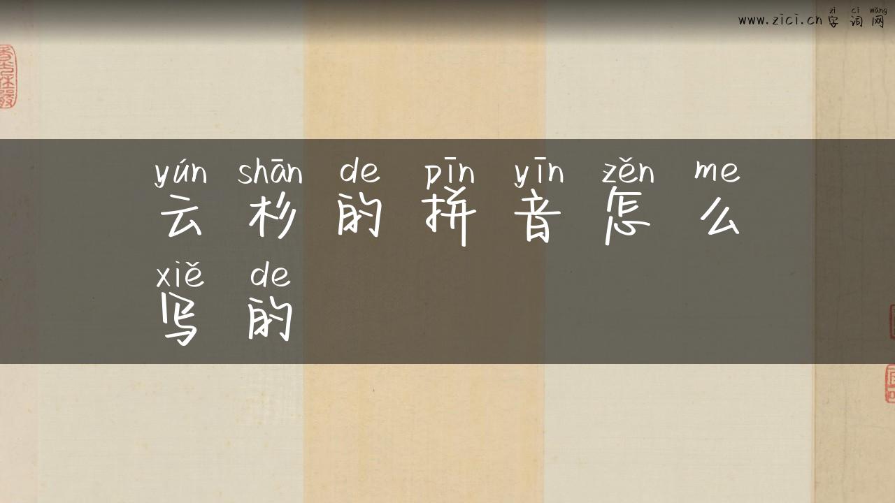 云杉的拼音怎么写的