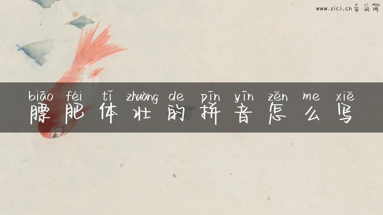 膘肥体壮的拼音怎么写