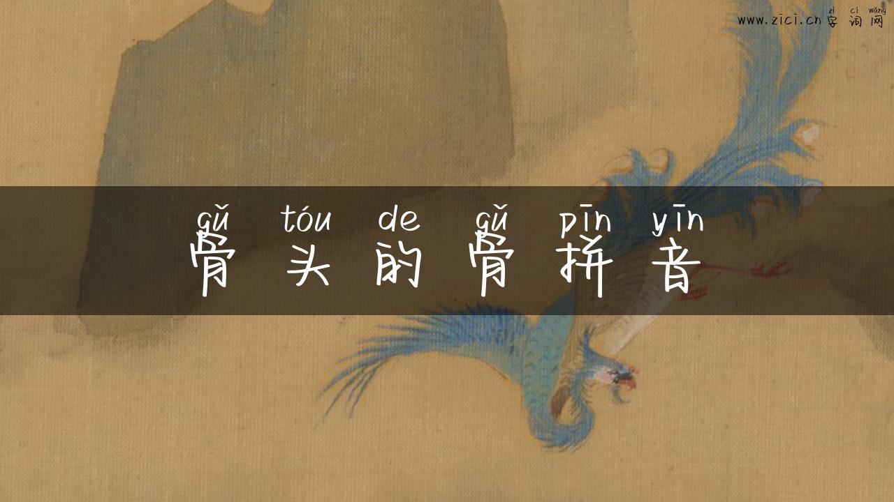 骨头的骨拼音