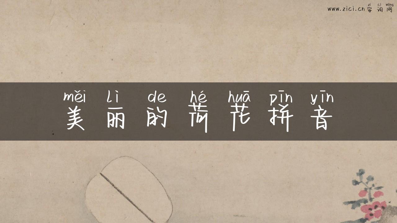 美丽的荷花拼音