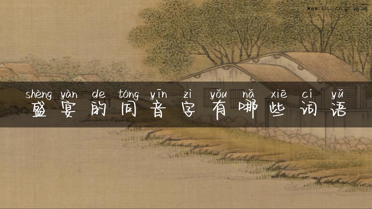 盛宴的同音字有哪些词语