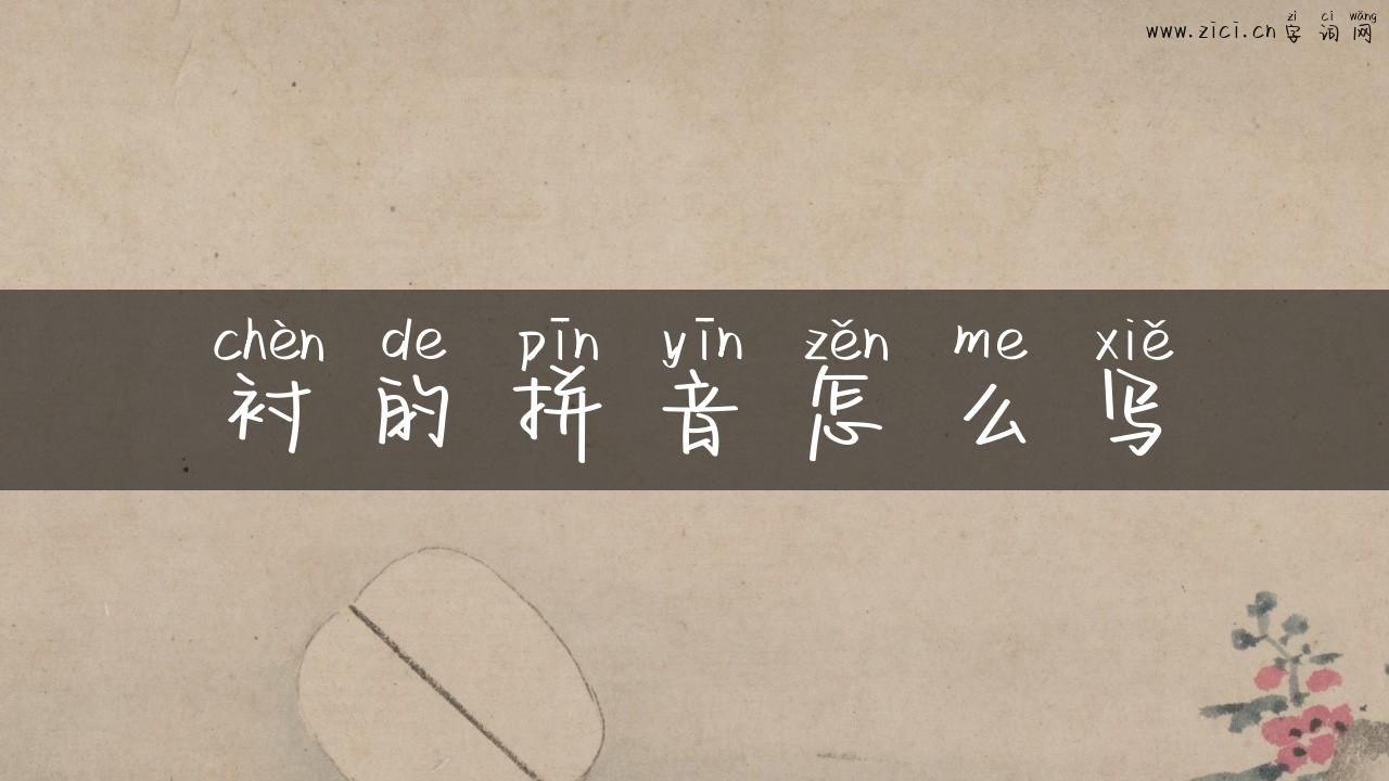 衬的拼音怎么写