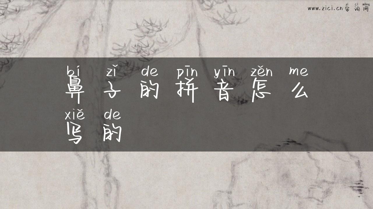 鼻子的拼音怎么写的