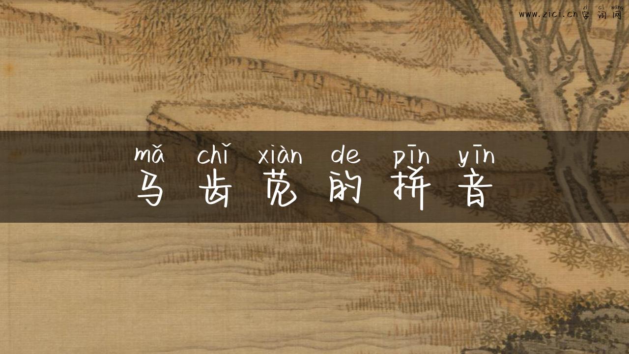 马齿苋的拼音
