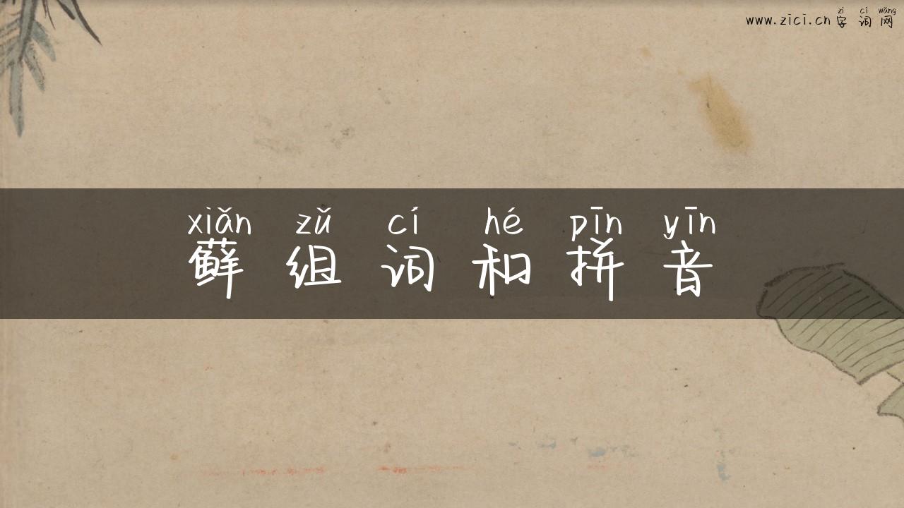 藓组词和拼音