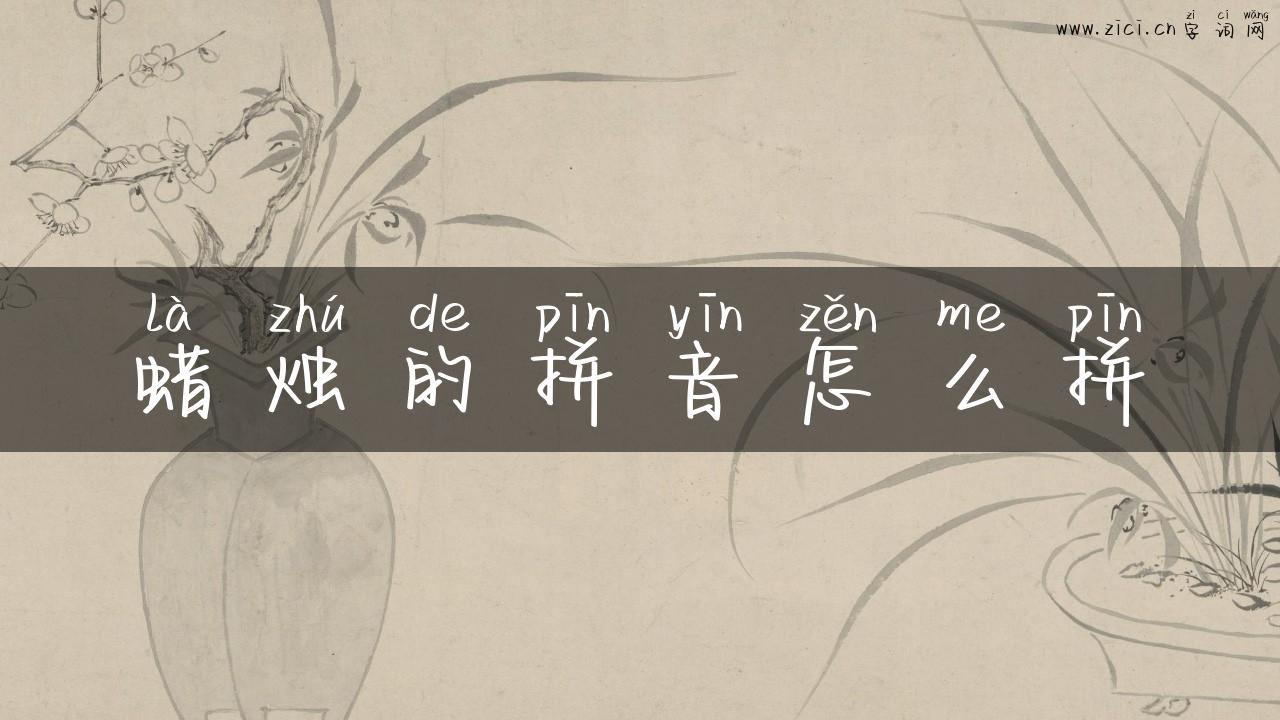 蜡烛的拼音怎么拼