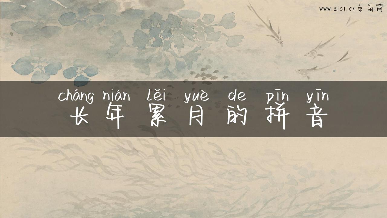 长年累月的拼音
