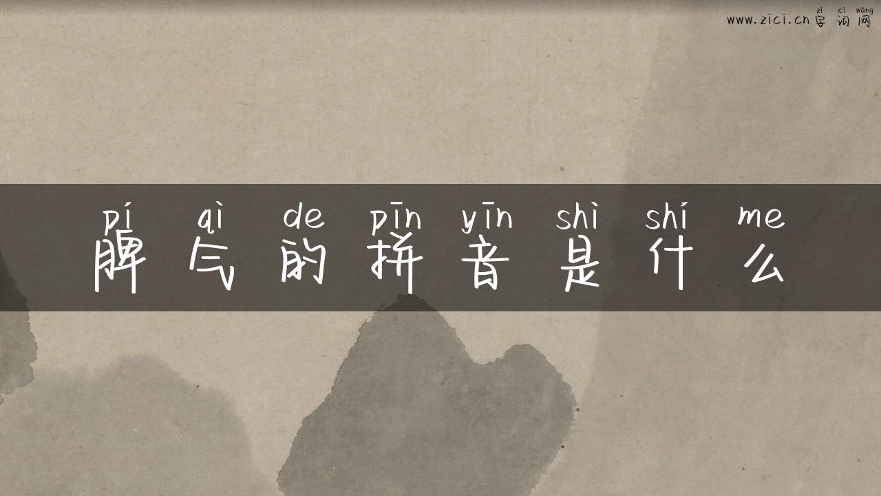 脾气的拼音是什么