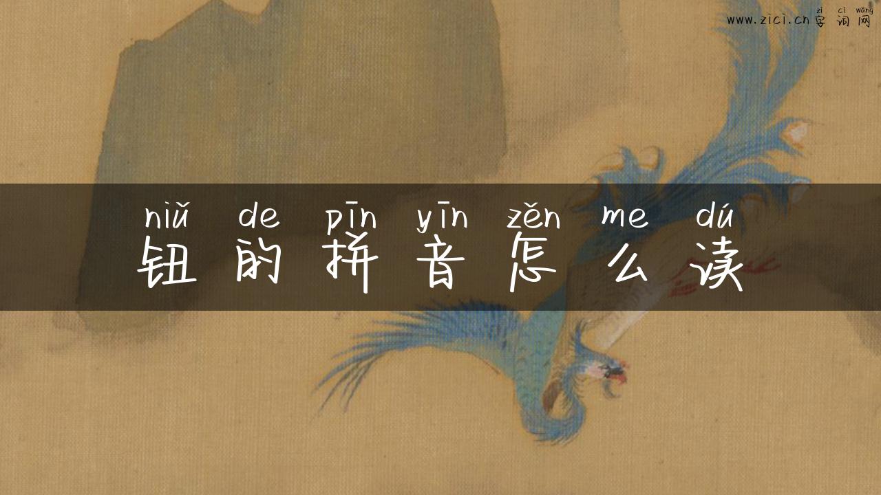 钮的拼音怎么读
