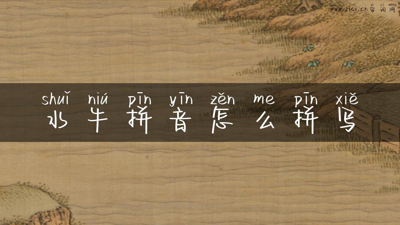 水牛拼音怎么拼写