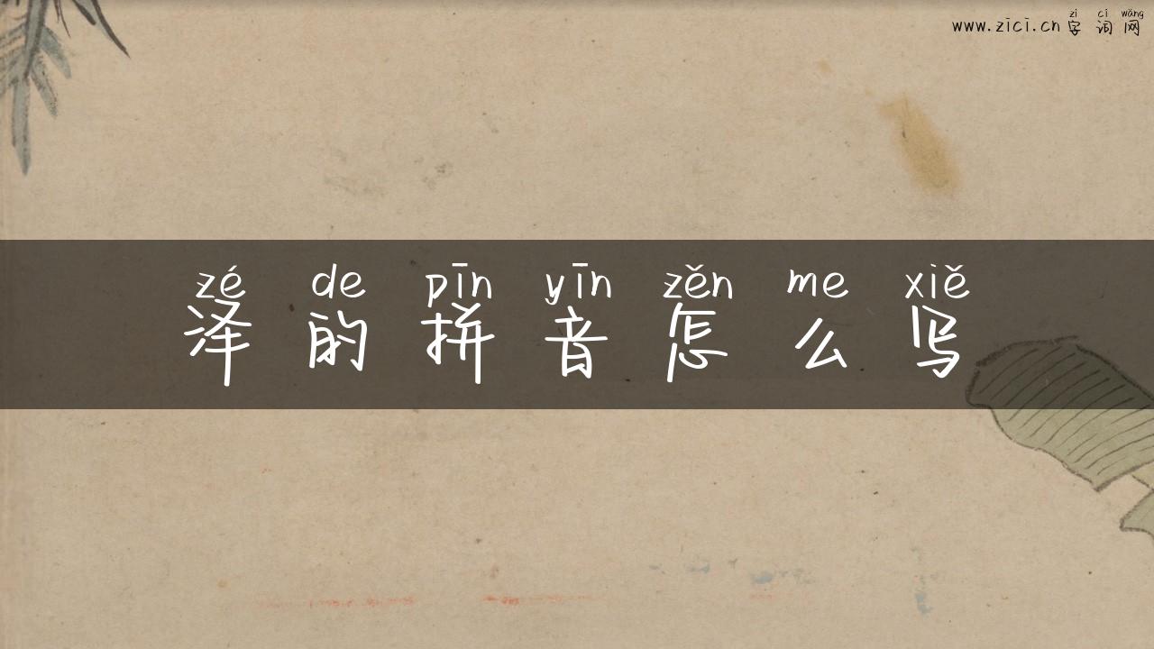 泽的拼音怎么写