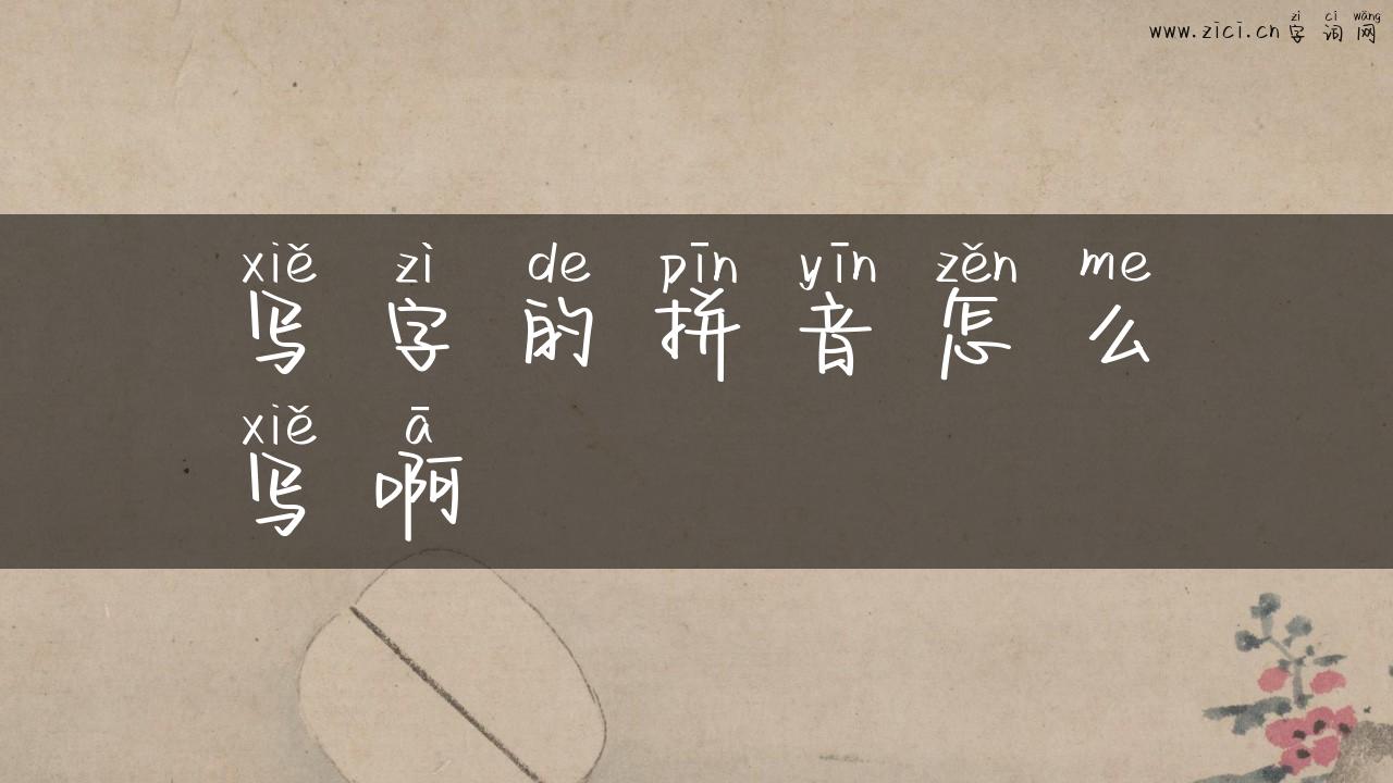 写字的拼音怎么写啊