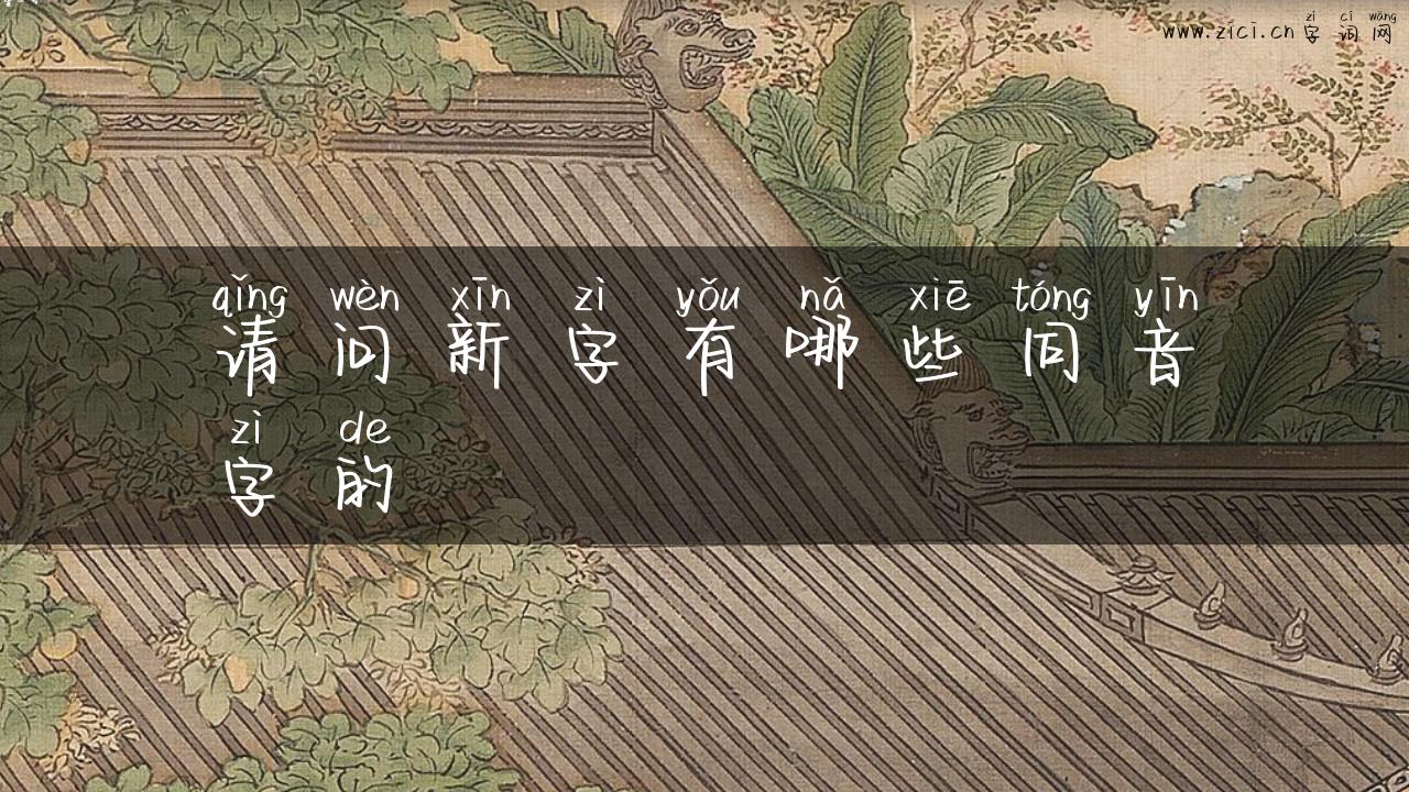 请问新字有哪些同音字的