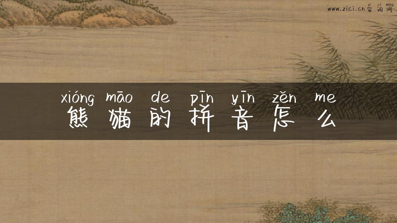 熊猫的拼音怎么