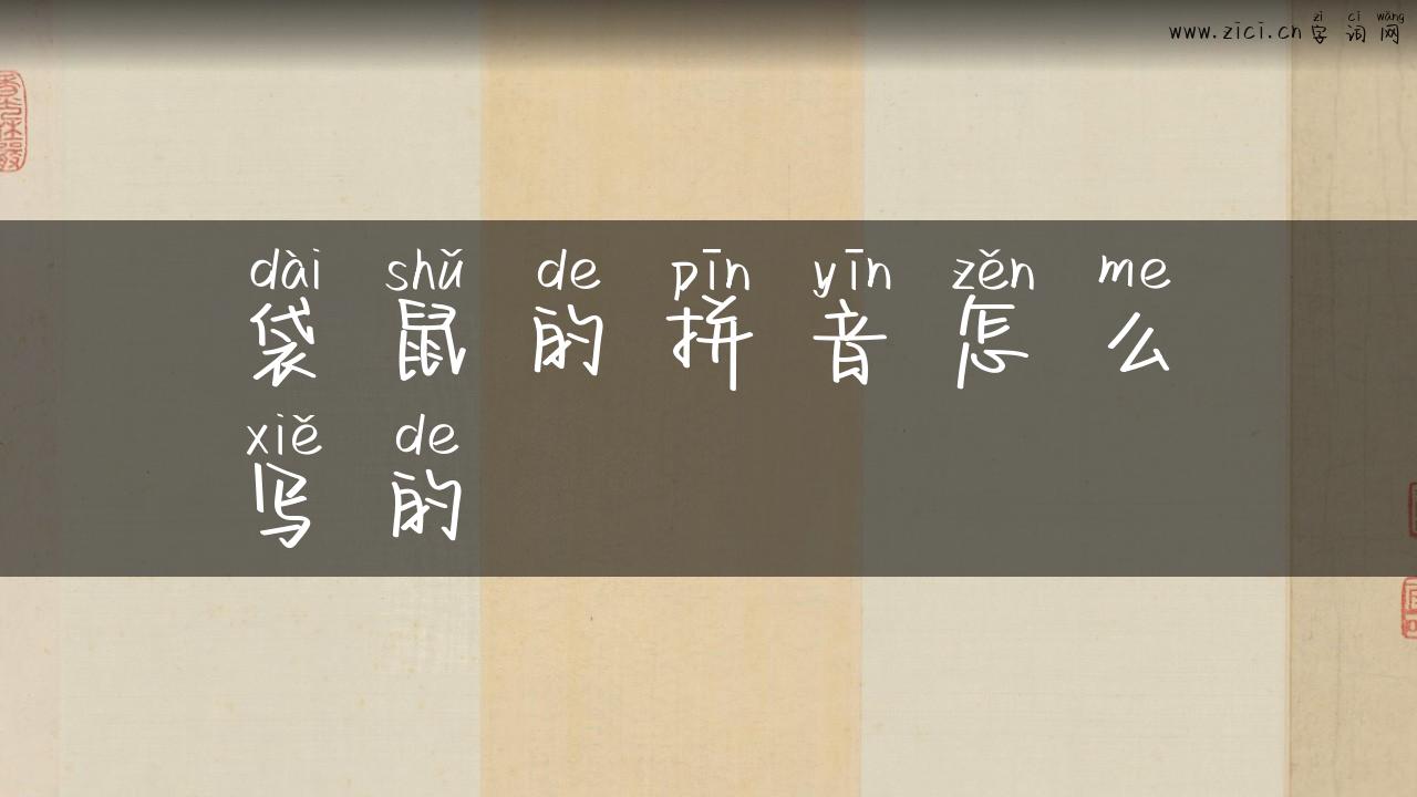 袋鼠的拼音怎么写的