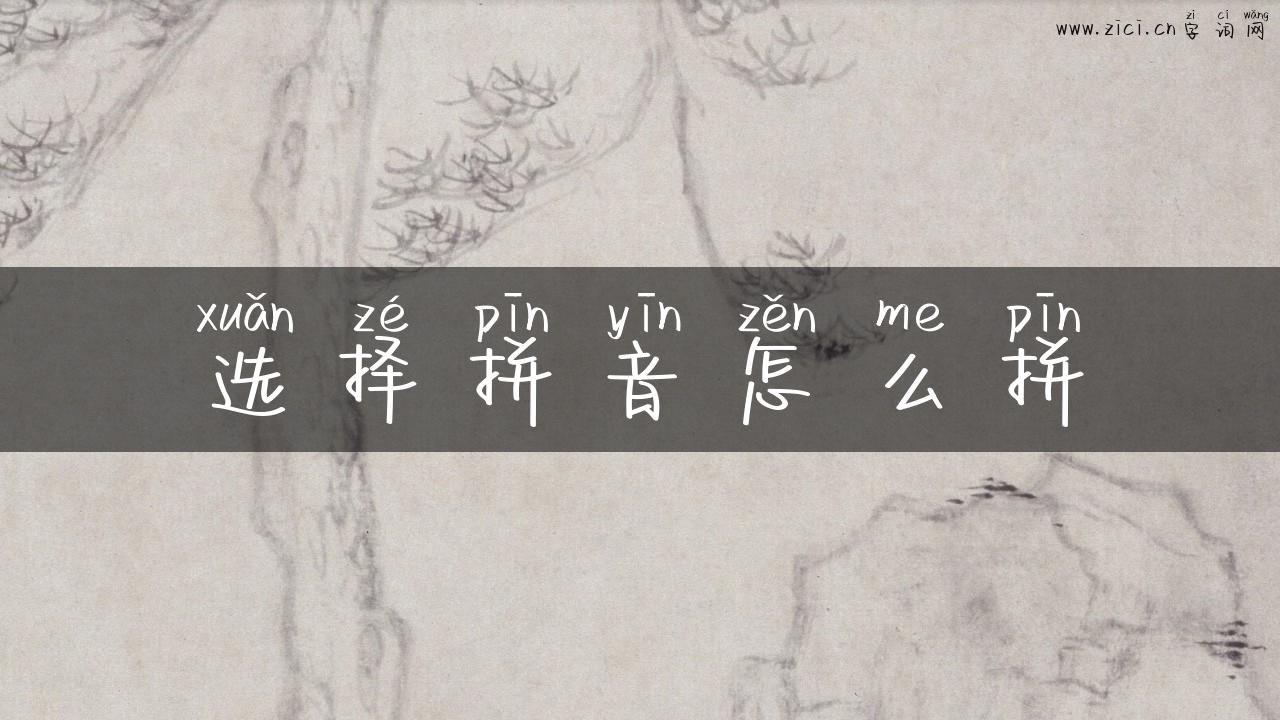 选择拼音怎么拼