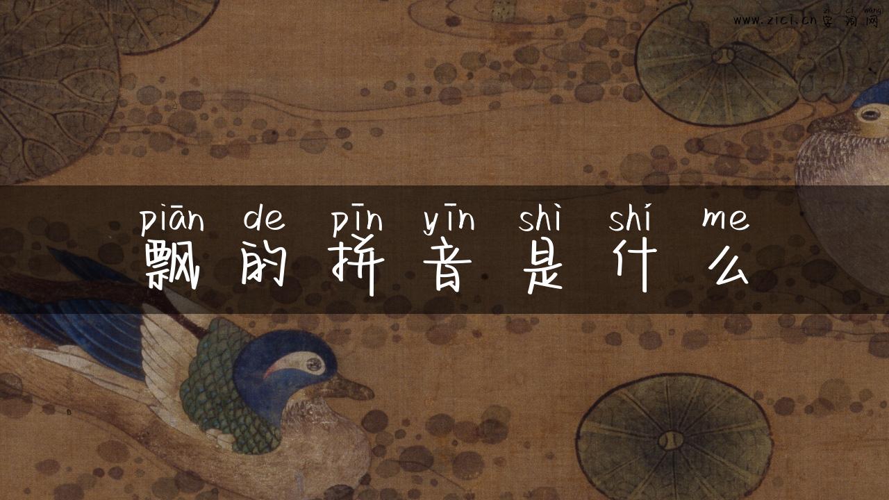 飘的拼音是什么