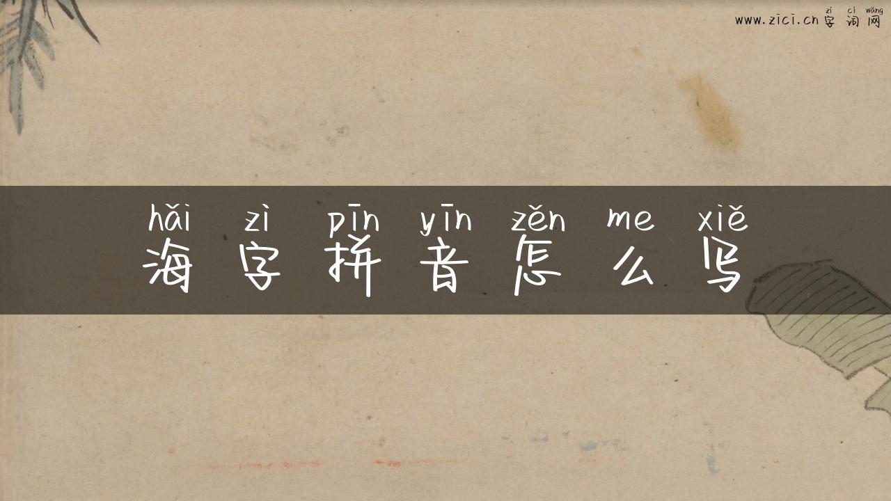 海字拼音怎么写