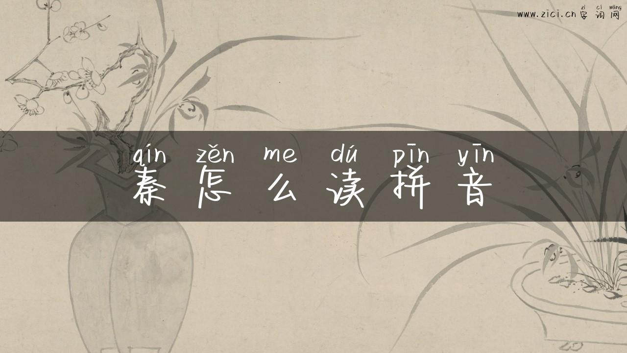 秦怎么读拼音