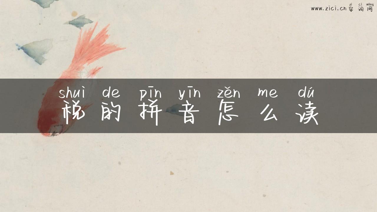 税的拼音怎么读