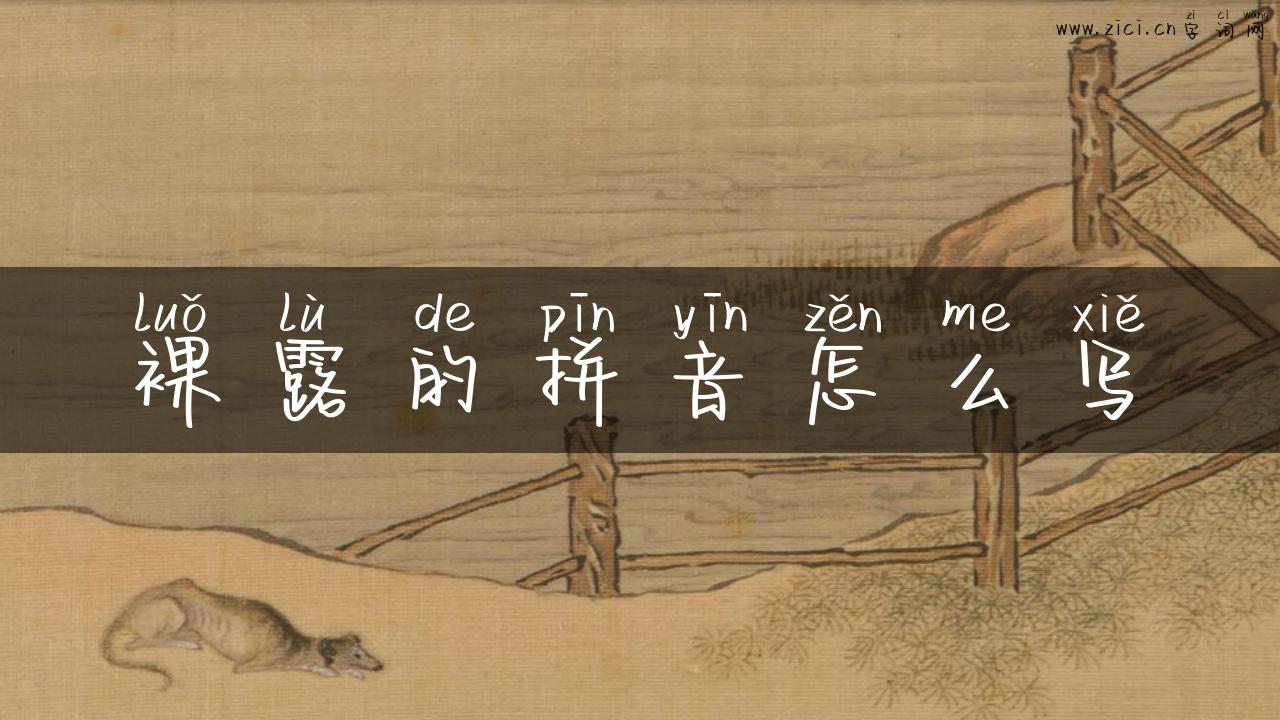 裸露的拼音怎么写