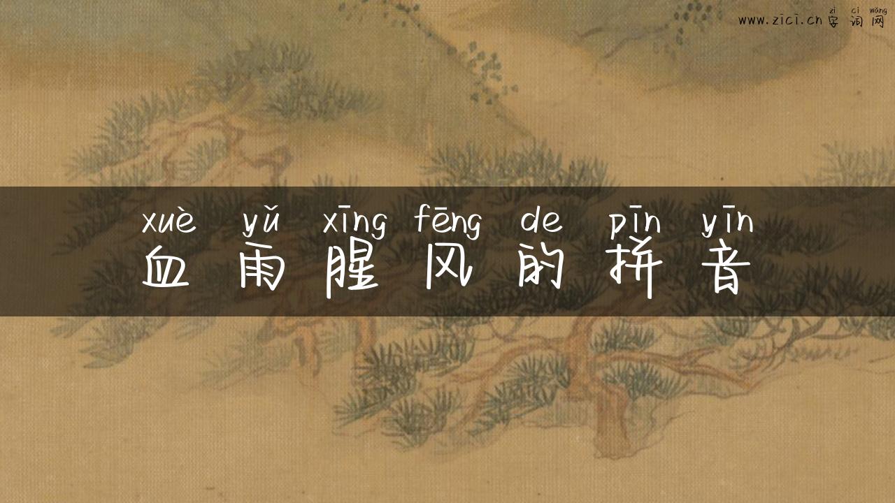 血雨腥风的拼音