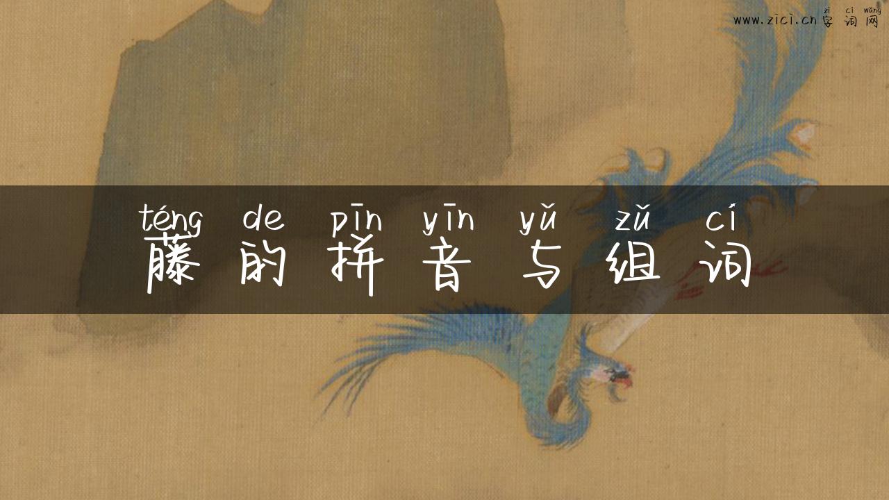 藤的拼音与组词