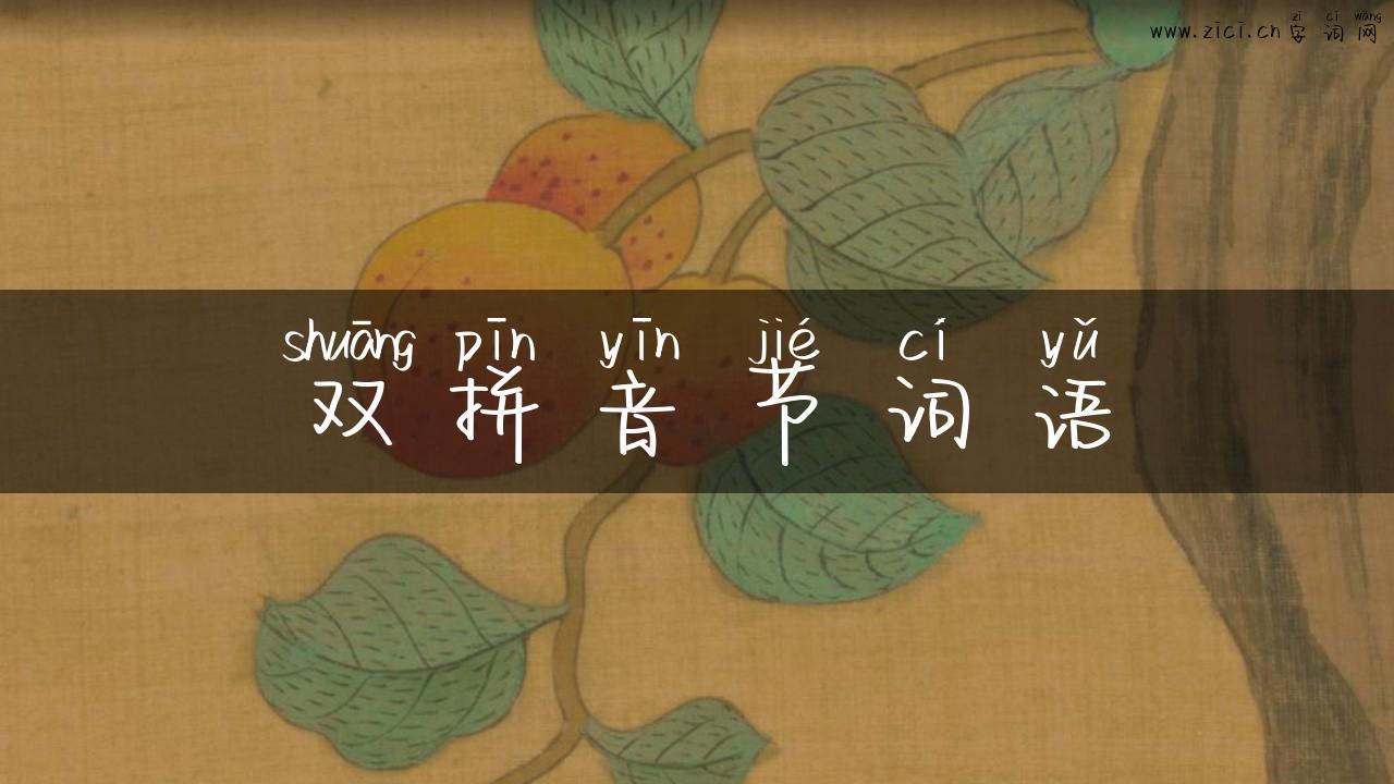 双拼音节词语