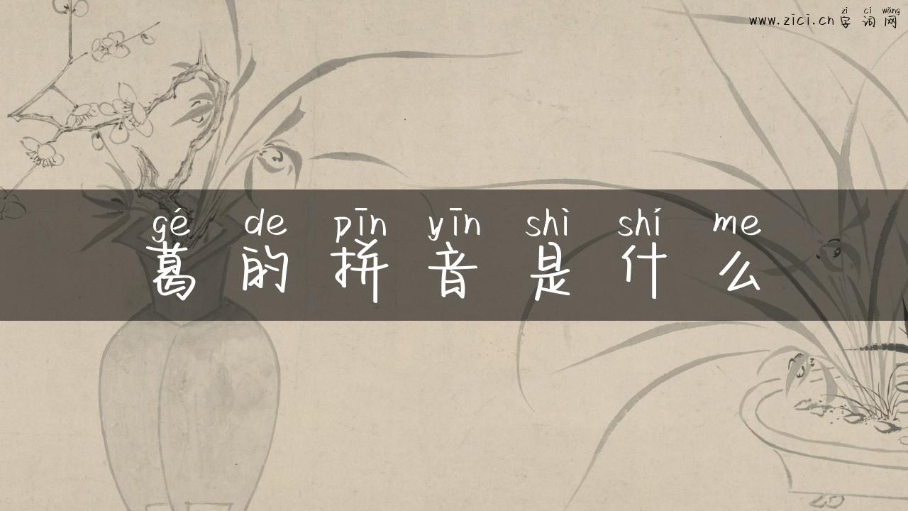 葛的拼音是什么