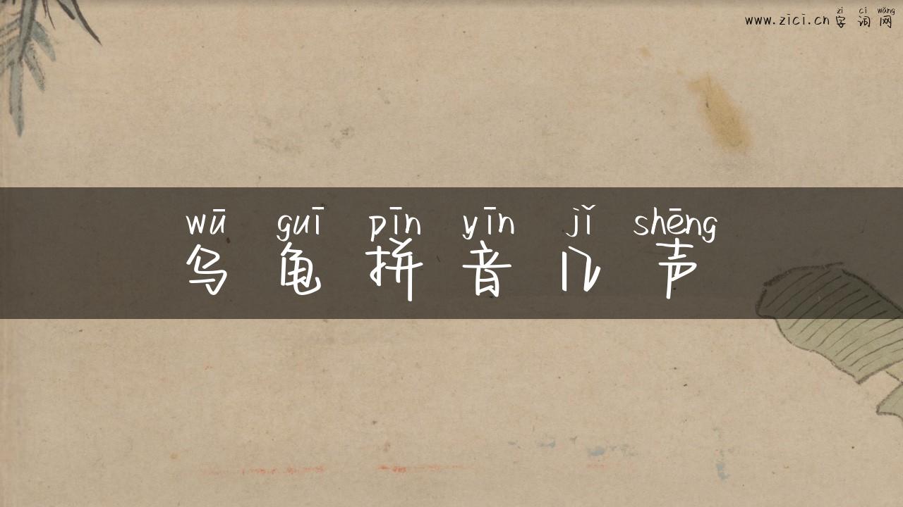 乌龟拼音几声