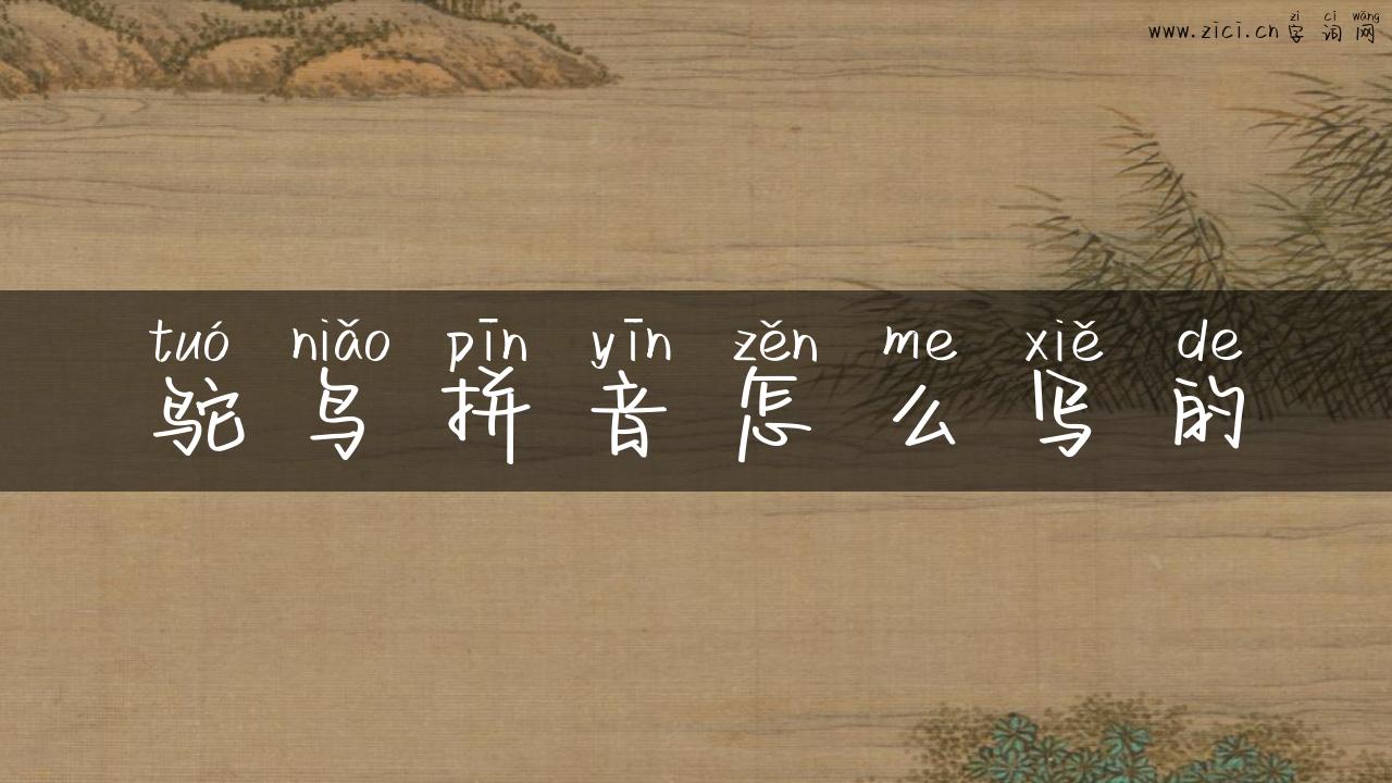 鸵鸟拼音怎么写的