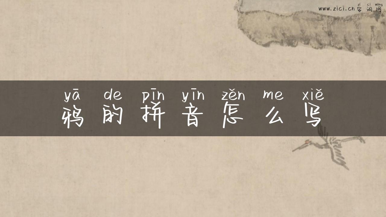 鸦的拼音怎么写