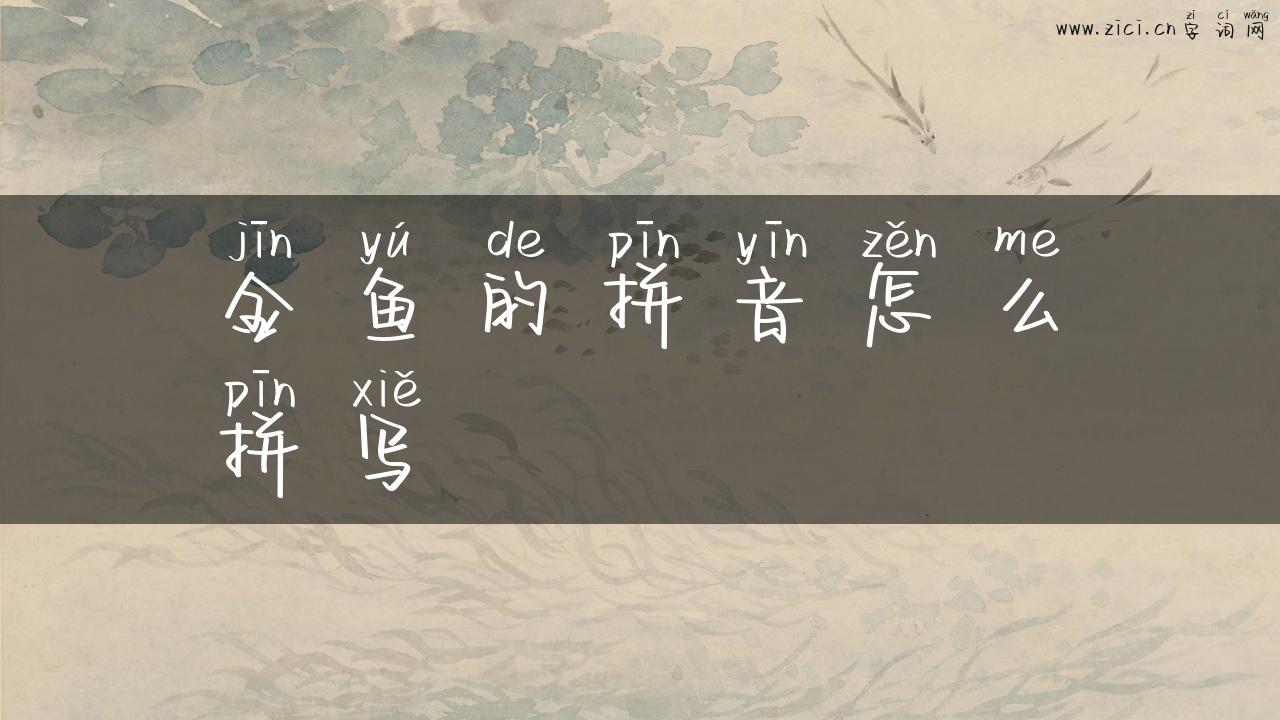 金鱼的拼音怎么拼写